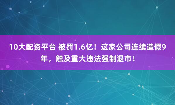 10大配资平台 被罚1.6亿！这家公司连续造假9年，触及重大违法强制退市！